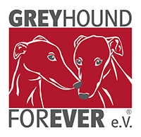 Greyhound Forever